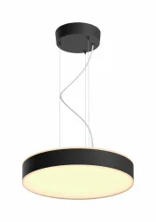 Philips Hue Pendelleuchte 