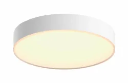 Philips Hue Deckenleuchte 