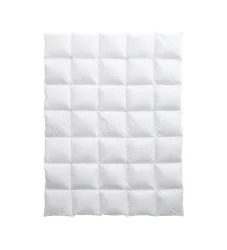 Billerbeck Edition Hayo Medium 160x210cm Daunenduvet
