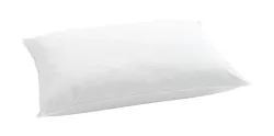 Billerbeck Edition John 50x70cm Kissen