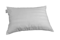 Billerbeck Edition Hanna MICROGEL™ 50x70cm Kissen