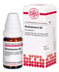 RHODODENDRON D 6 Globuli 10 g Globuli