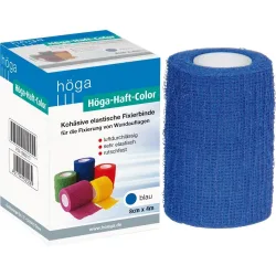 HÖGA HAFT Color Fixierb.8 cmx4 m blau 1 St Binden