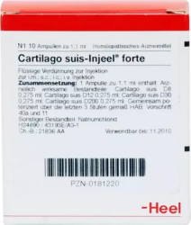 CARTILAGO suis Injeel forte Ampullen 10 St Ampullen