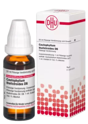 CAULOPHYLLUM THALICTROIDES D 6 Dilution 20 ml Dilution