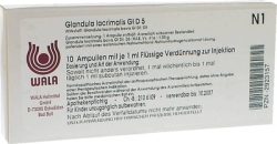 GLANDULA LACRIMALIS GL D 5 Ampullen 10X1 ml Ampullen