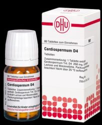 CARDIOSPERMUM D 4 Tabletten 80 St Tabletten