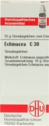 ECHINACEA HAB C 30 Globuli 10 g Globuli