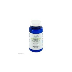 MSM PUR Pulver 100 g Pulver