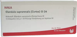 Glandula suprarenalis (Cortex) Gl D4 Ampullen 10X1 ml Ampullen