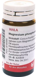 Magnesium phosphoricum cum cinere Avenae D 6 20 g Globuli