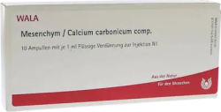Mesenchym/Calcium carbonicum comp. 10X1 ml Ampullen