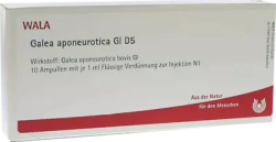 Galea aponeurotica Gl D5 Ampullen 10X1 ml Ampullen