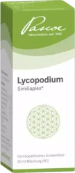 LYCOPODIUM SIMILIAPLEX