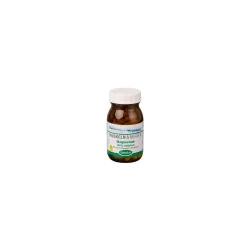 Magnesium 100% Natürlich Kapseln 100 St Kapseln