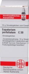 EUPATORIUM PERFOLIATUM C 30 Globuli 10 g Globuli