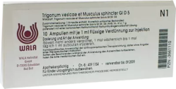 Trigonum vesicae et Musculus sphincter GL D5 10X1 ml Ampullen