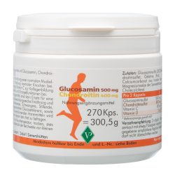 GLUCOSAMIN 500 mg+Chondroitin 400 mg Kapseln 270 St Kapseln