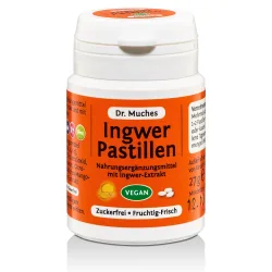 Dr. Muches Ingwerpastillen 27 g Pastillen