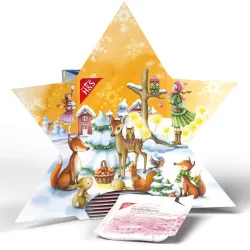 H&S Adventskalender Stern 24 St Filterbeutel