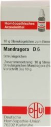 MANDRAGORA D 6 Globuli 10 g Globuli