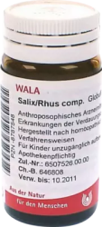 Salix/Rhus comp. Globuli 20 g Globuli