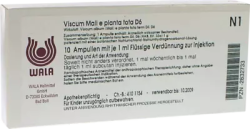 VISCUM MALI e planta tota D 6 Ampullen 10X1 ml Ampullen