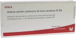 Arteria carotis communis et sinus caroticus Gl D5 Amp. 10X1 ml Ampullen