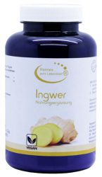INGWER PULVER 100 g Pulver