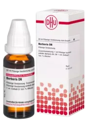 BERBERIS D 6 Dilution 20 ml Dilution