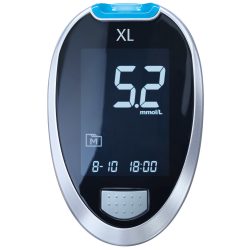 GLUCO CHECK XL Blutzuckermessgerät Set mmol/l 1 St