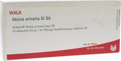 Vesica urinaria GL D 5 Ampullen 10X1 ml Ampullen