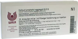 Folliculi lymphatici aggregati Gl D5 Ampullen 10X1 ml Ampullen