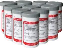 Kohle-Pulvis 10X10 g Pulver