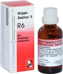 GRIPPE GASTREU S R 6 Tropfen zum Einnehmen 22 ml Mischung