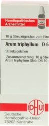 ARUM TRIPHYLLUM D 6 Globuli 10 g Globuli