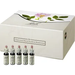 BACHBLÜTEN Original Sonderedition Box 400 ml Tropfen