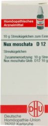 NUX MOSCHATA D 12 Globuli 10 g Globuli