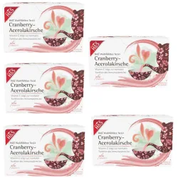 H&S Wohlfühltee Cranberry-Acerolakirsche mit Vitamin C 5er Set 5X20X2,8 g Filterbeutel