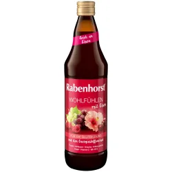 Rabenhorst Wohlfühlen mit Eisen  700 ml Saft