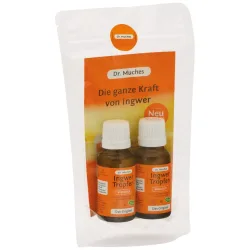 Dr. Muches Ingwertropfen 2X20 ml Tropfen