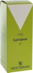 Lycopus H Nr.170 Tropfen 100 ml Tropfen
