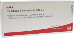Helleborus niger e planta tota D6 Ampullen 10X1 ml Ampullen