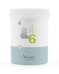 Schüßler-Salz Nr. 6 Kalium sulfuricum D6 1000 St Tabletten
