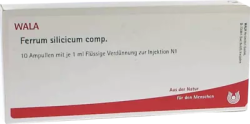 Ferrum silicicum comp.Ampullen 10X1 ml Ampullen