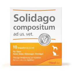 Solidago compositum ad us. vet.  10 St Ampullen