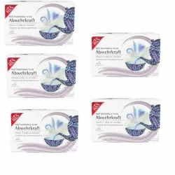 H&S Wohlfühltee Abwehrkraft mit Vitamin C 5er Set 5X20X1,8 g Filterbeutel