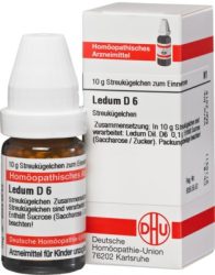 LEDUM D 6 Globuli 10 g Globuli