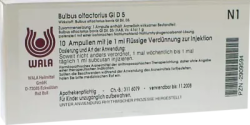 Bulbus olfactorius GL D5 Ampullen 10X1 ml Ampullen