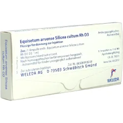 WELEDA EQUISETUM ARVENSE Silicea cultum D 3 Ampullen 8 St Ampullen
